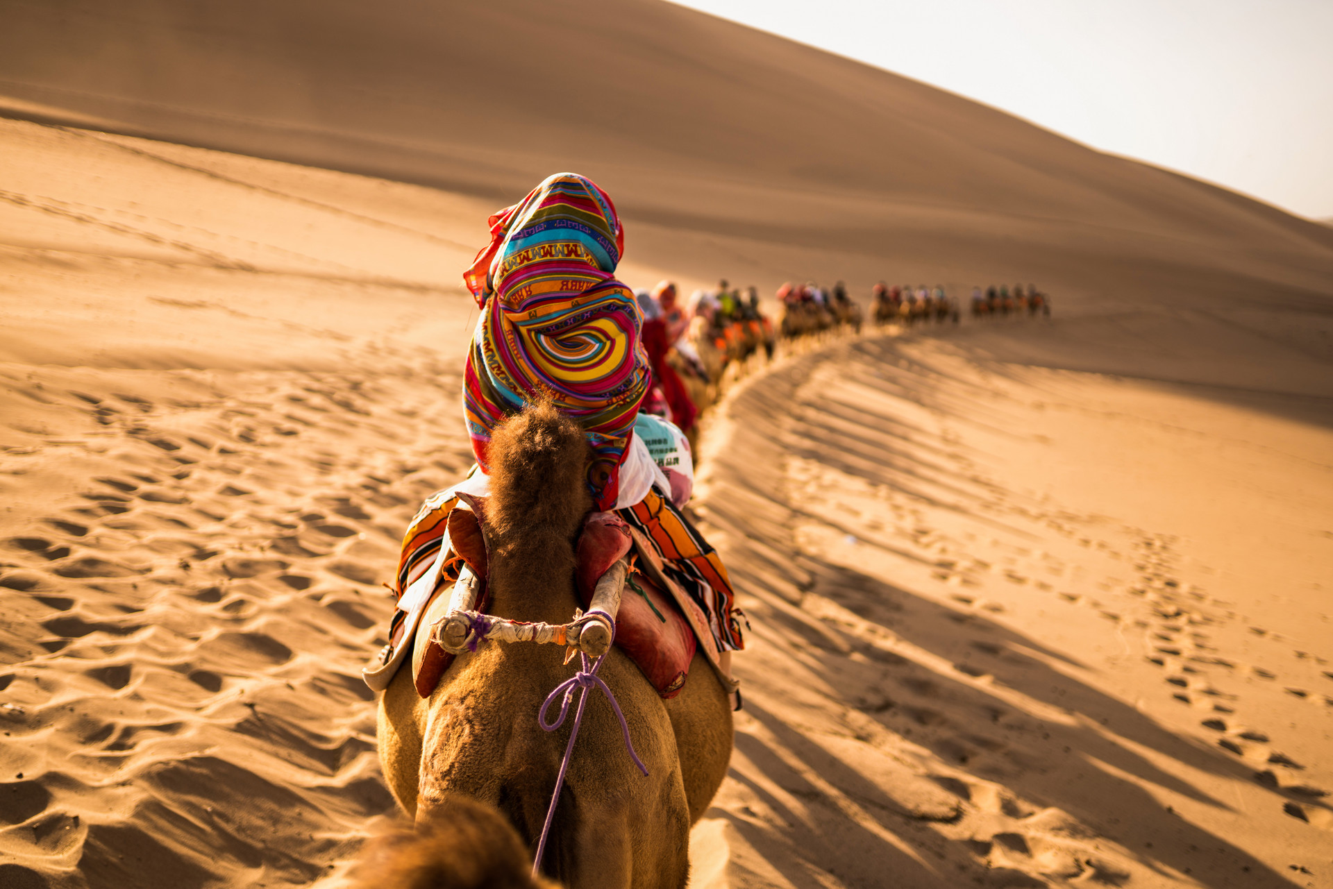 Desert